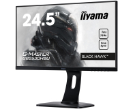 iiyama G-Master GB2530HSU Black Hawk - 430746 - zdjęcie 1